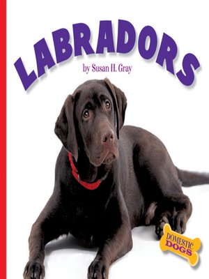 cover image of Labradors